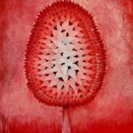 Wandcirkel of wanddecoratie van de Rode Kabouterboom is een aanwinst voor de kinderkamer of je interieur. Een piepklein deurtje staat open.