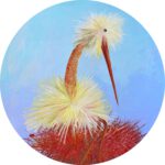 Babykamer wandcirkel van een grappige ooievaar op een groot nest.